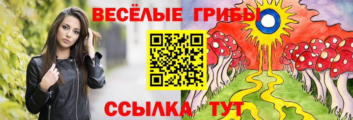 Псилоцибиновые грибы Cubensis Красноармейск